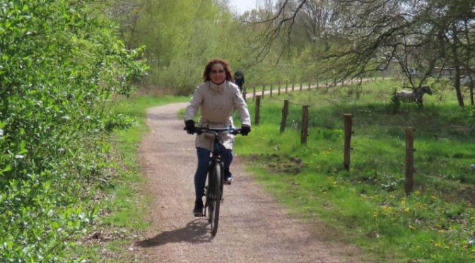 Fietstocht : Ontdek de Reggestreek